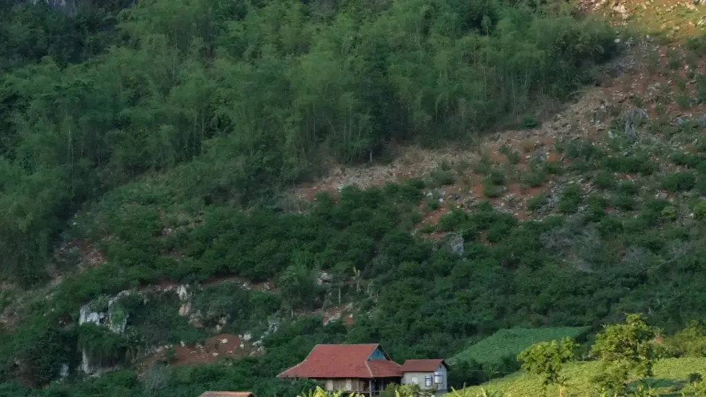 Guide pratique pour créateurs nigériens voulant collaborer avec marques égyptiennes sur VK pour contenu fitness.