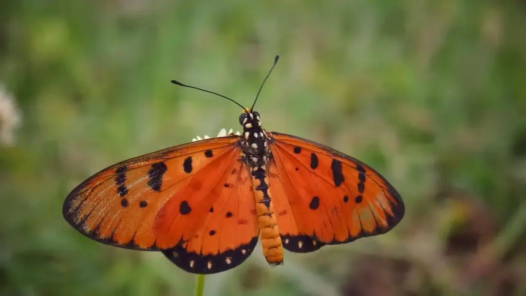 Guide pratique pour annonceurs au Niger: repérer et engager créateurs Snapchat en Estonie pour lancer un jeu mobile avec impact local.