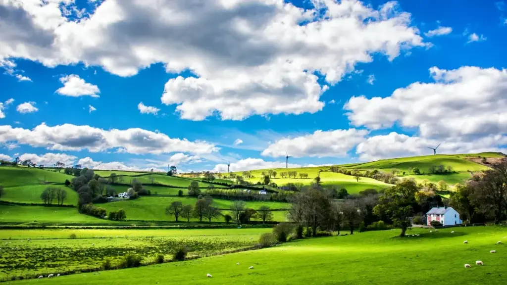 Guide pratique pour annonceurs au Niger: repérer, évaluer et collaborer avec créateurs Etsy allemands pour accélérer la croissance produit via contenu authentique.