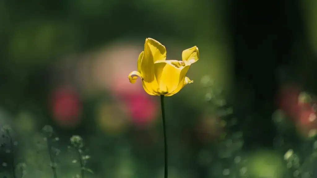 Guide pratique pour annonceurs au Niger: comment repérer, contacter et envoyer des PR packages à des créateurs basés en Jordanie sur Xiaohongshu, avec budgets et KPIs.