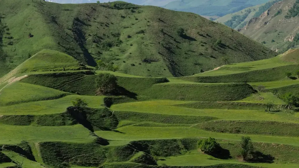 Guide pratique pour les annonceurs au Niger: comment repérer, évaluer et engager des créateurs Rumble au Luxembourg afin de booster les installations mobiles de votre app.