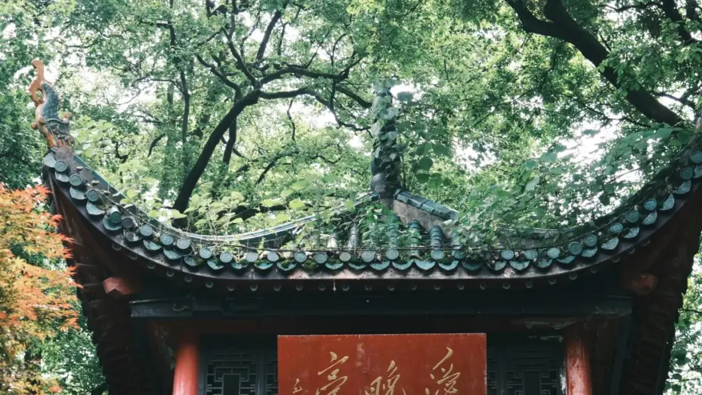 Guide pratique pour annonceurs au Niger : comment repérer et engager des créateurs Chingari nigérians pour des city guides locaux.