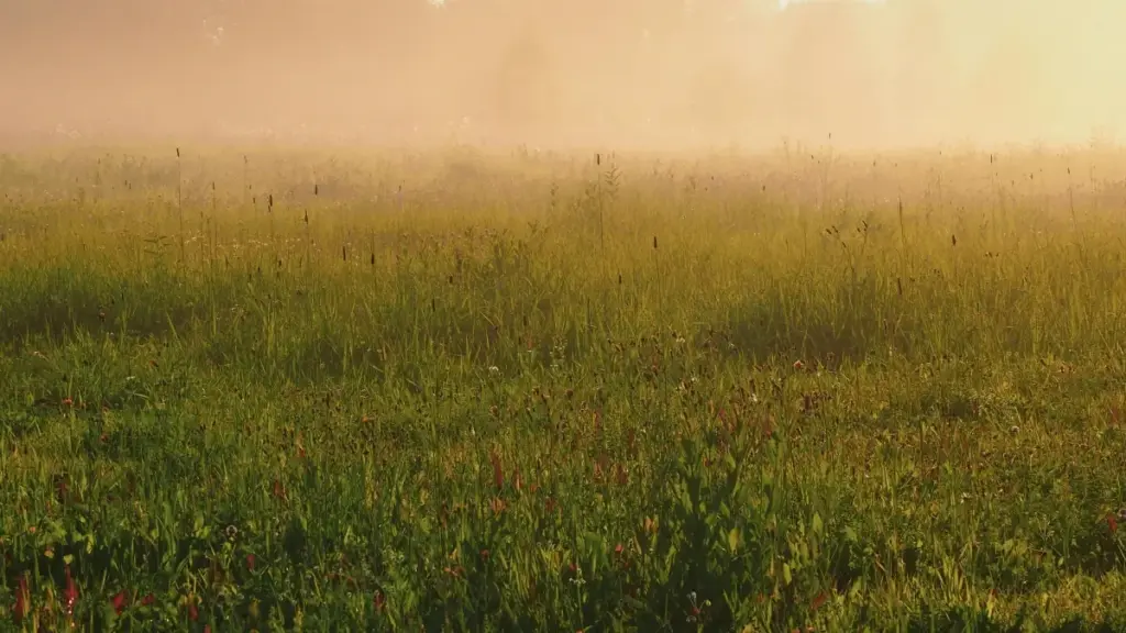 Guide pratique pour annonceurs au Niger : comment identifier, qualifier et lancer des campagnes de vente avec des créateurs YouTube du Portugal — stratégies locales, risques et checklist opérationnelle.