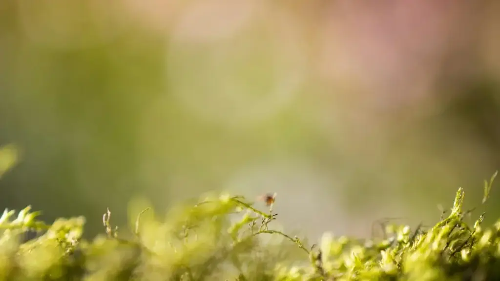 Guide pratique pour annonceurs au Niger : où trouver, qualifier et collaborer avec des créateurs vietnamiens (HBO Max-friendly) pour lancer vos produits — tactiques locales et erreurs à éviter.