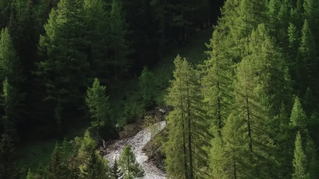 Guide pratique pour les annonceurs nigériens voulant collaborer avec créateurs KakaoTalk bosniens en contenu local de ville.
