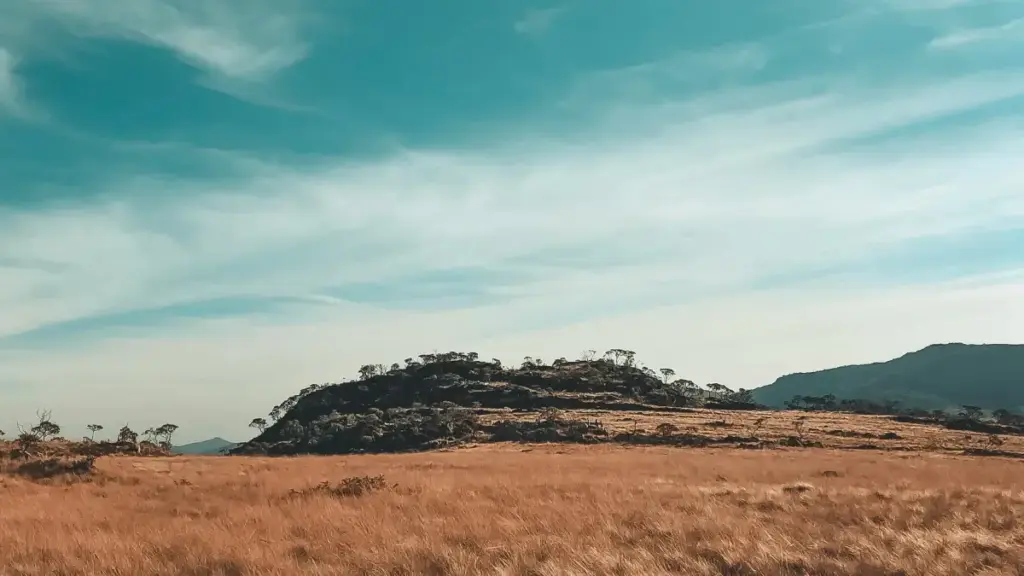 Guide pratique pour annonceurs au Niger : comment repérer et engager des créateurs néo-zélandais (format vidéo/Hulu-style) pour promouvoir vos circuits locaux, avec tactiques, checklist et modèle d'approche.