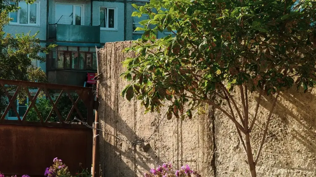 Guide pratique pour créateurs au Niger : comment contacter marques colombiennes sur Discord et décrocher des partenariats payants.