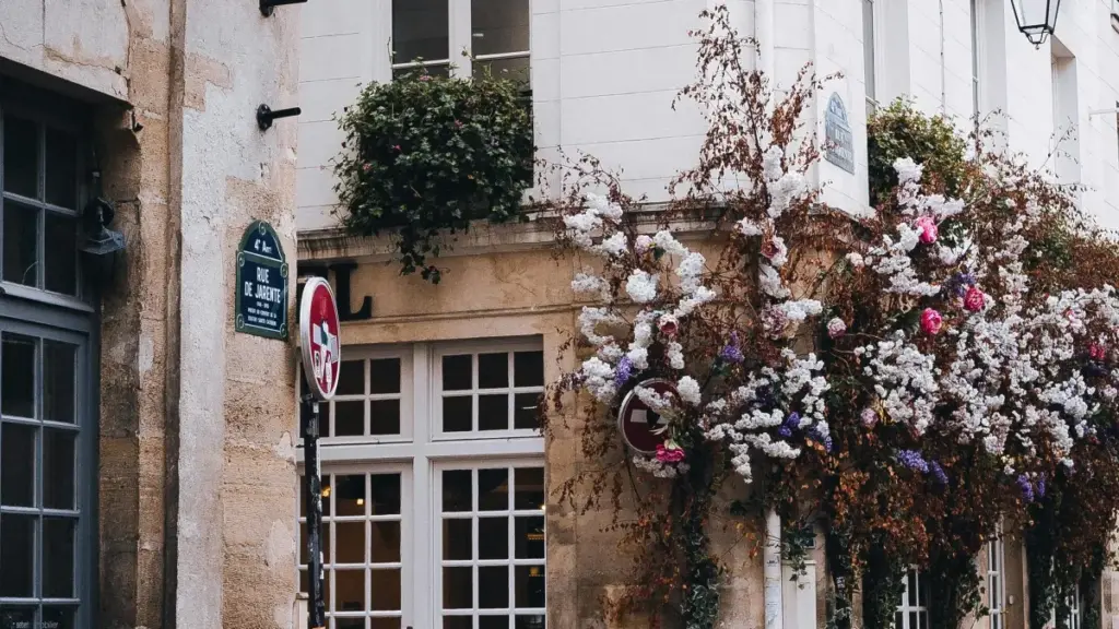 "Guide pratique pour créateurs au Niger qui veulent contacter marques tanzaniennes sur Rumble et décrocher programmes d'ambassadeurs."