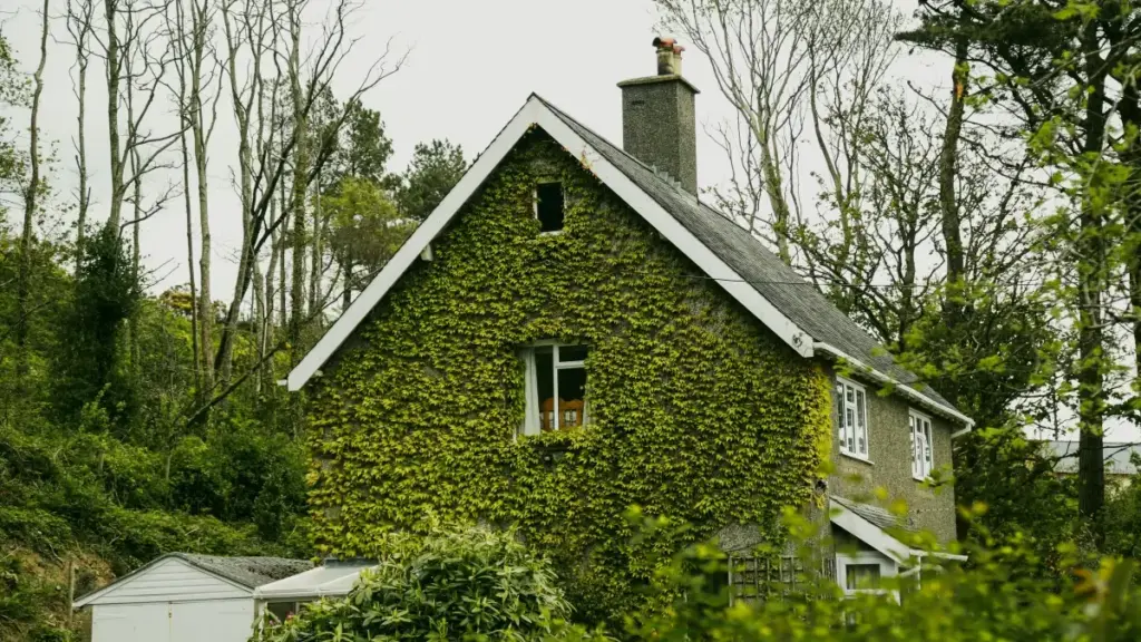 "Guide pratique pour annonceurs au Niger : comment sourcer des créateurs Instagram sud-coréens et transformer followers en clients — étapes, pièges et templates."