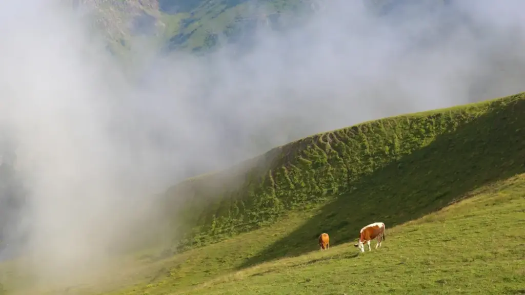 Astuces pratiques pour créateurs au Niger voulant collaborer avec marques néerlandaises via Telegram et booster leurs vidéos haul.