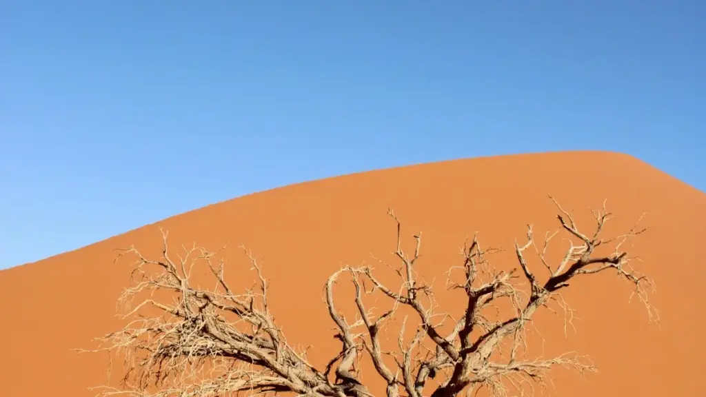 Guide pratique pour créateurs au Niger voulant approcher les marques finlandaises sur LinkedIn et rédiger des critiques produits détaillées.