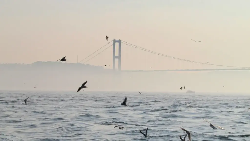 Guide pratique pour les annonceurs au Niger : comment identifier et collaborer avec les créateurs Spotify au Luxembourg pour vos challenges sponsorisés.