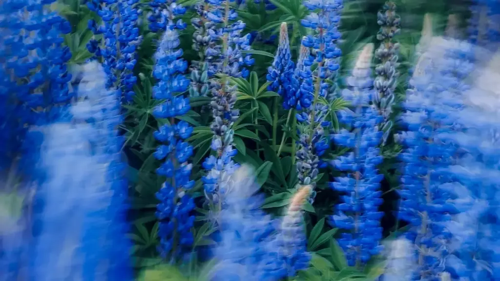 "Guide pratique pour annonceurs au Niger: comment repérer et recruter des créateurs KakaoTalk basés au Mexique pour tester la demande marché, méthodes, risques, et outils."