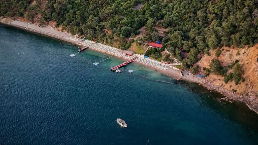 "Analyse pratique pour annonceurs au Niger : pourquoi Viber au Kenya montre l'intérêt d'un canal ouvert de feedback, tendances et tactiques locales."