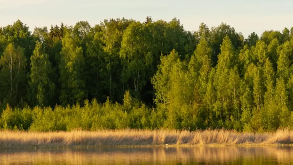 Guide pratique pour annonceurs au Niger: où et comment trouver créateurs kazakhs qui peuvent promouvoir Shopee et générer des installs via streamers, avec tactiques, outils et risques.