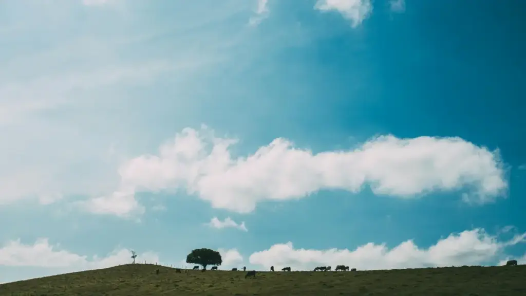 Guide pratique pour créateurs au Niger: comment identifier, contacter et convaincre marques du Laos sur Reddit pour créer tutoriels brandés.