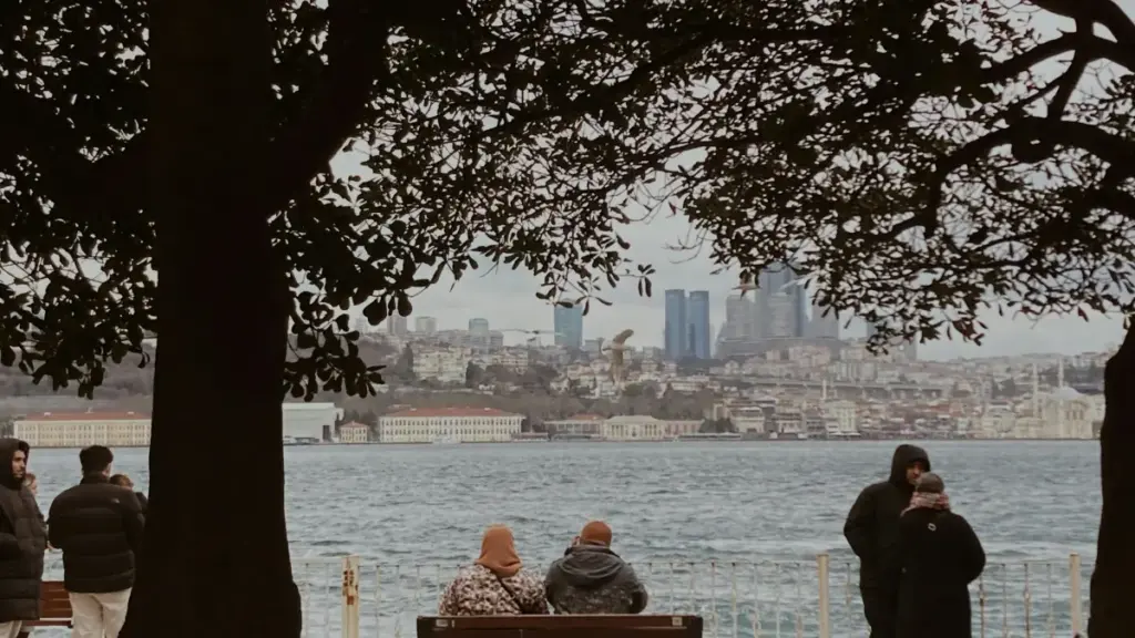 Guide pratique pour annonceurs au Niger: identifier et engager créateurs eBay en Tanzanie pour campagnes d'affiliation via influenceurs — outils, étapes et risques.