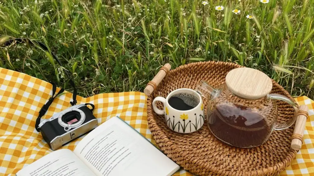 Guide pratique pour les annonceurs au Niger: comment repérer et engager des créateurs Ireland Line pour promouvoir des plateformes d'apprentissage en ligne.