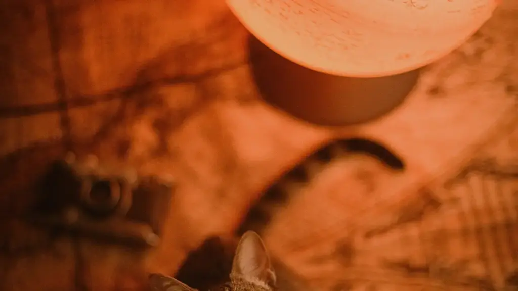 Guide pratique pour annonceurs au Niger: comment repérer, contacter et lancer une série tutorielle menée par créateurs russes taobao. Stratégies, outils et risques locaux.