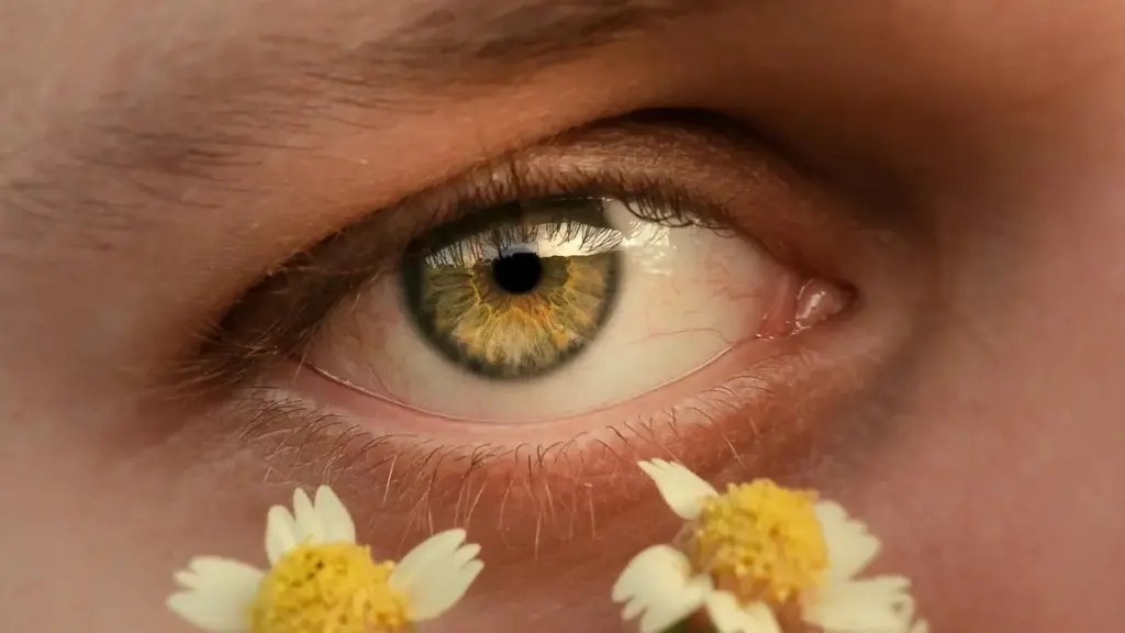 Guide pratique pour annonceurs au Niger qui veulent identifier et engager des créateurs LinkedIn chiliens ciblant audiences de niche.