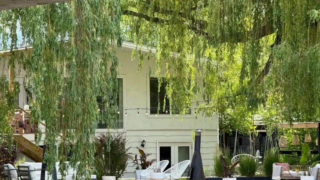 Guide pratique pour annonceurs au Niger: comment identifier, contacter et collaborer avec des créateurs Douyin tunisiens pour rendre votre marque visible en Afrique et en Asie.