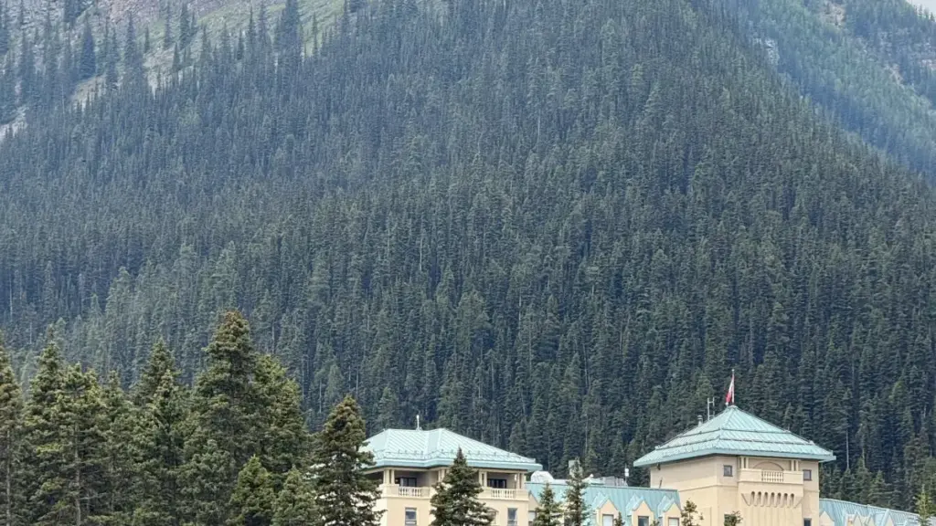 Guide pratique pour annonceurs au Niger: comment repérer, contacter et tester des concepts produit avec créateurs OnlyFans basés au Qatar, en s'appuyant sur tendances régionales et exemples récents.