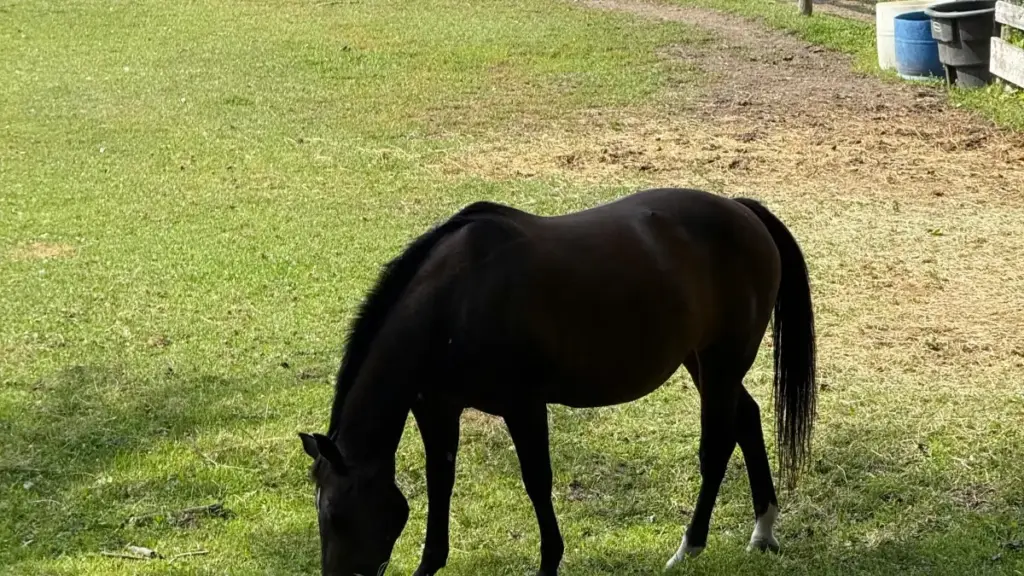 Guide pratique pour annonceurs au Niger: comment identifier, contacter et sponsoriser créateurs Roposo basés aux États‑Unis pour capsules behind‑the‑scenes, avec tactiques, checklist et risques.