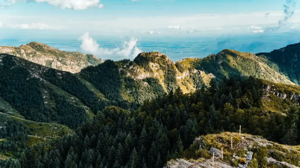 Stratégies pratiques pour contacter marques tchèques sur OnlyFans, présenter bénéfices produits clairement et sécuriser partenariats depuis le Niger.