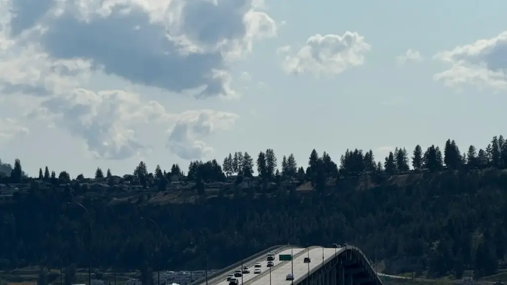 Guide pratique pour créateurs au Niger: comment trouver, contacter et pitcher des marques panaméennes sur Viber afin de monter des lookbooks stylés et payants.