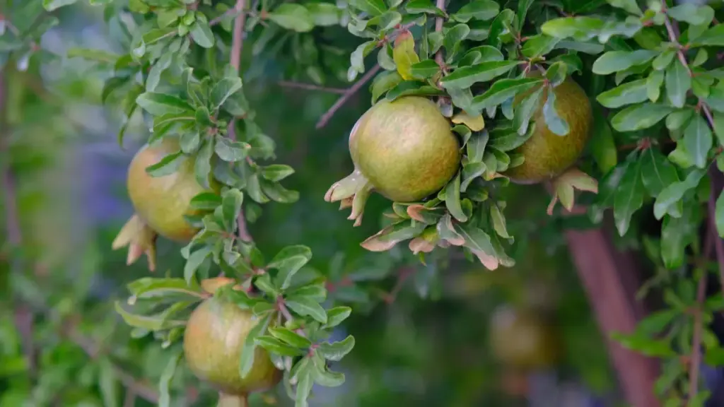 Guide pratique pour créateurs au Niger: comment contacter marques chinoises via Pinterest, créer lookbooks mode efficaces et scaler collaborations en 2025.