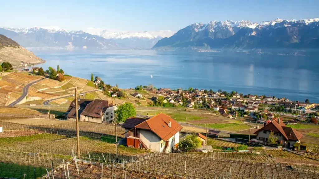 Guide pratique pour créateurs au Niger: comment cibler et approcher les marques britanniques présentes sur Disney+ afin de monter des partenariats avec éditeurs de jeux.