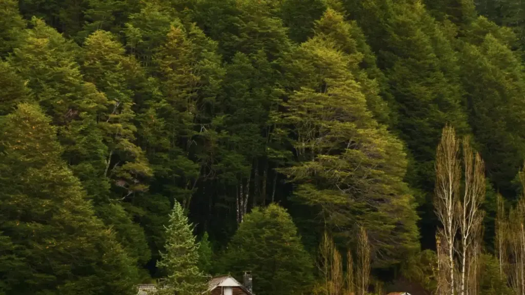 Guide pratique pour les annonceurs au Niger: comment identifier et collaborer avec des créateurs irlandais qui parlent de Hulu pour pousser du trafic vers votre landing page.