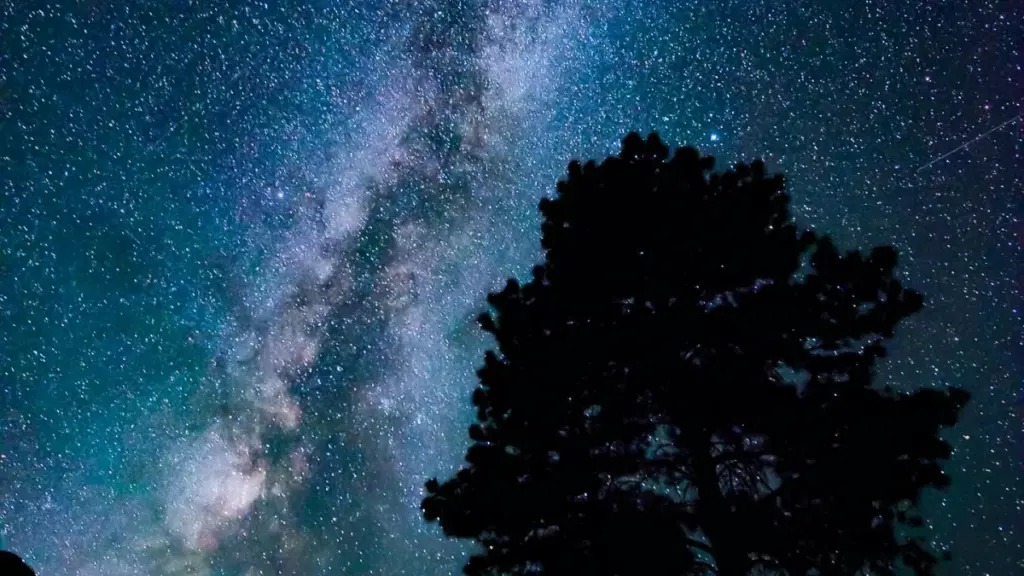 Guide pratique pour annonceurs au Niger: comment repérer, contacter et lancer des campagnes de product seeding avec créateurs Twitter du Vietnam en 2025.