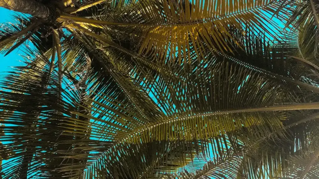 Guide pratique pour annonceurs au Niger: comment repérer, contacter et collaborer avec des créateurs sri‑lankais sur Bilibili pour vlogs d'événements réels en 2025.