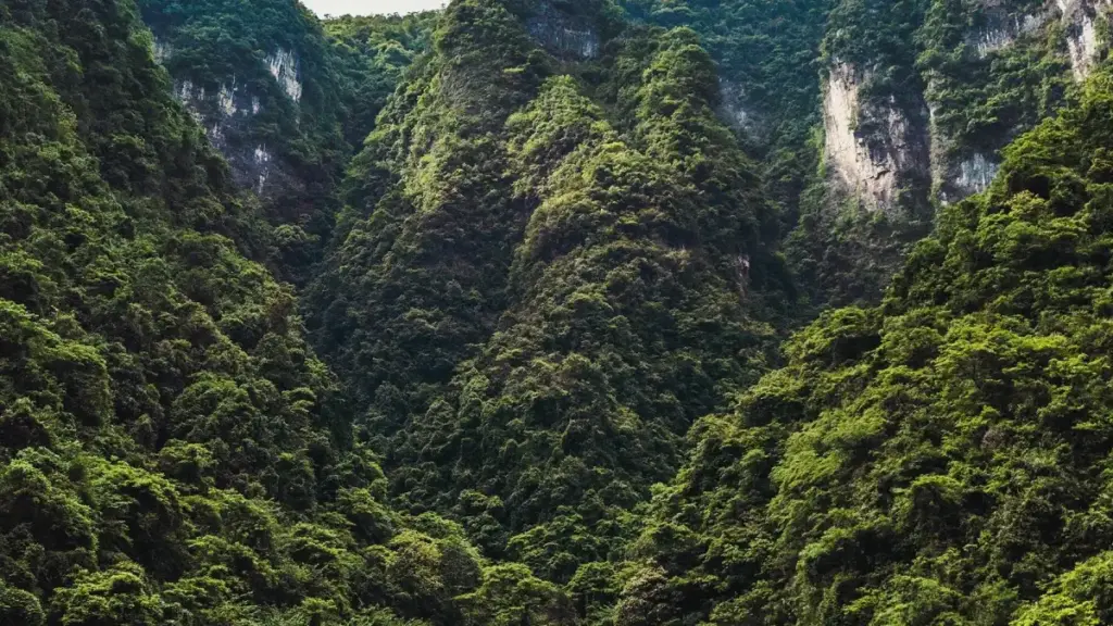 Guide pratique pour annonceurs au Niger: comment identifier et activer des créateurs HBO Max en Pologne pour booster les ventes d'une boutique en ligne.