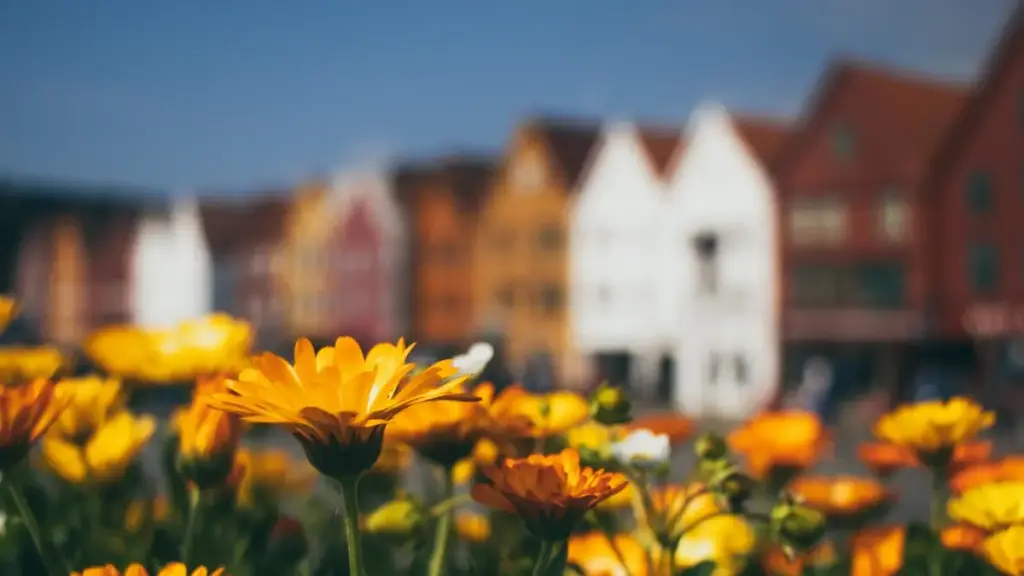 Guide pratique pour créateurs au Niger: comment contacter des marques bangladaises via Disney+ pour collaborer sur des gameplay challenges, avec tactiques locales et exemples.