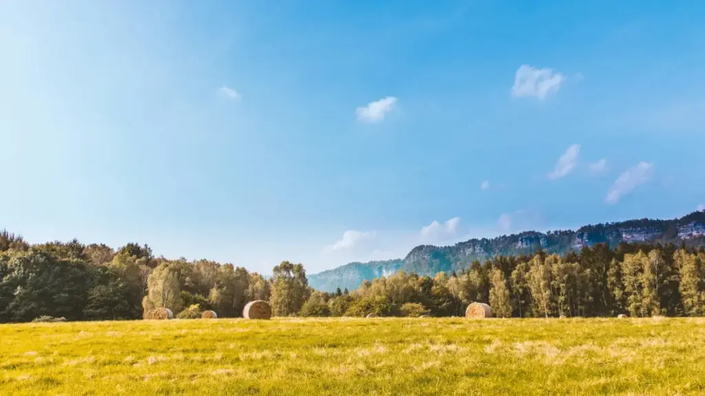 Guide pratique pour les annonceurs au Niger: comment repérer, qualifier et engager des créateurs Moj basés en France pour campagnes d’affiliation via influenceurs.