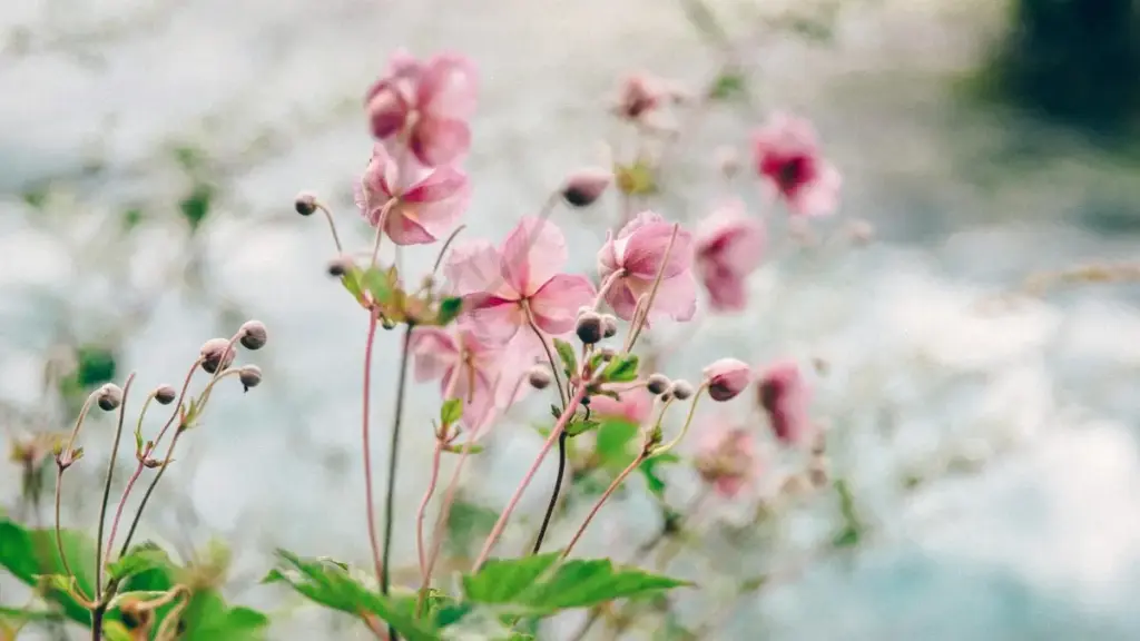 Guide pratique pour annonceurs au Niger: comment repérer, contacter et collaborer avec des créateurs Reddit à Singapour pour maximiser visibilité produit via l'exposition des créateurs.