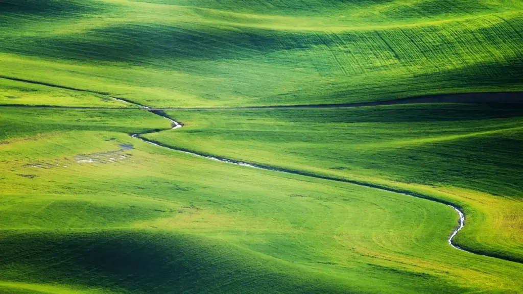 Guide pratique pour annonceurs au Niger: comment localiser, évaluer et activer des créateurs WeChat basés en Belgique pour augmenter les ventes en ligne.