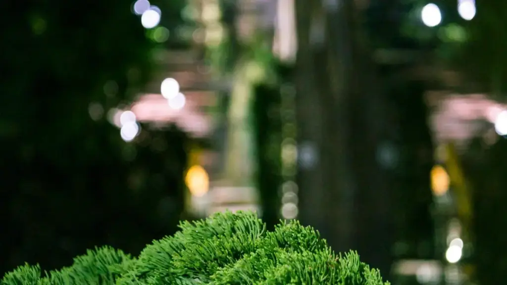 Guide pratique pour annonceurs au Niger — comment repérer, sécuriser et collaborer avec créateurs OnlyFans basés au Liban pour booster la visibilité de marque, avec risques et tactiques locales.