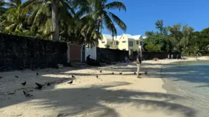 Guide pratique pour créateurs au Niger : comment approcher marques chinoises sur Chingari, idées de contenu court, erreurs à éviter et tactiques locales.