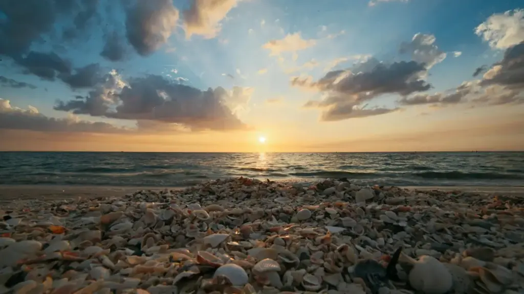 Guide pratique pour créateurs au Niger: comment approcher marques de Macédoine du Nord via WhatsApp, présenter bénéfices produit clairement et convertir sans passer pour un spammeur.