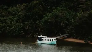 Guide pratique pour annonceurs au Niger: comment identifier et activer des créateurs vkontakte basés en Suède afin d'augmenter la notoriété dans les communautés gaming.