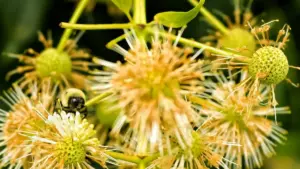 Guide pratique pour créateurs au Niger: comment approcher marques turques liées à HBO Max, tactiques de contact, partenariat et conseils VPN pour accès et promotions croisées.