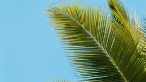 Guide pratique pour créateurs du Niger: comment approcher des marques philippines sur Reddit pour des collaborations avec offices du tourisme — tactiques, exemples, et checklist opérationnelle.