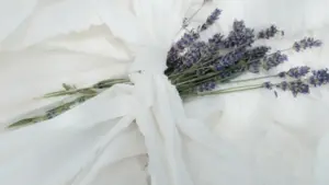 Guide pratique pour créateurs au Niger: comment approcher des marques vietnamiennes via KakaoTalk, intégrer témoignages vérifiables et booster la crédibilité du media kit.