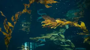 Guide pratique pour annonceurs au Niger: comment identifier, contacter et collaborer avec des créateurs Etsy ukrainiens afin d'améliorer le sentiment autour de votre marque.