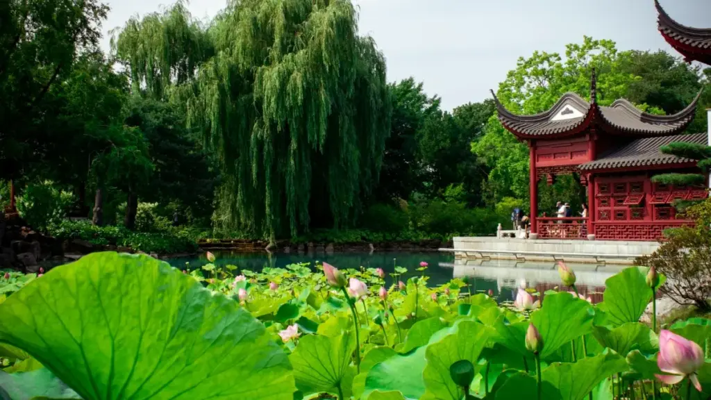 Guide pratique pour créateurs au Niger: comment contacter marques luxembourgeoises sur Twitter et présenter clairement les bénéfices produit.