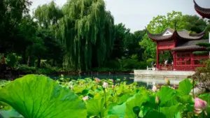 Guide pratique pour créateurs au Niger: comment contacter marques luxembourgeoises sur Twitter et présenter clairement les bénéfices produit.