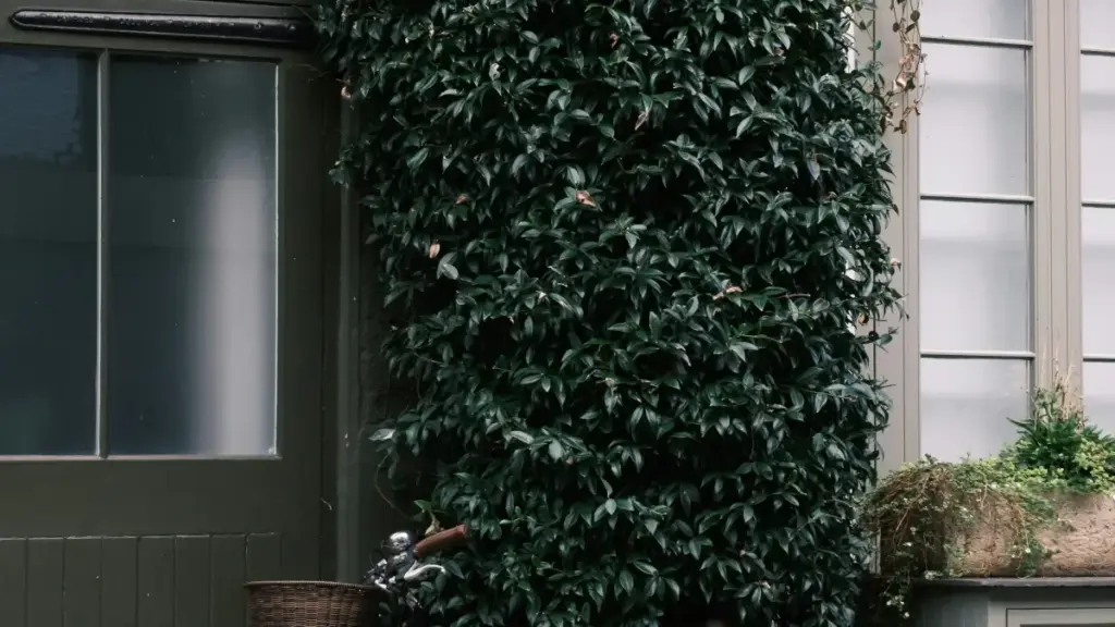 Guide pratique pour créateurs au Niger: comment trouver, approcher et convaincre des marques suédoises sur LinkedIn afin d’organiser des giveaways qui performent.